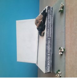 "Мой Магнитогорск"