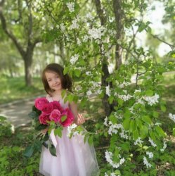 "Образ Мечты"