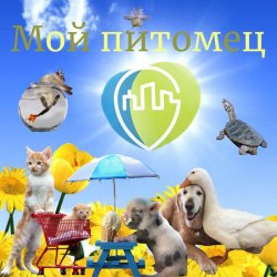«Мой питомец»
