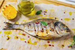 Дорадо средиземноморская