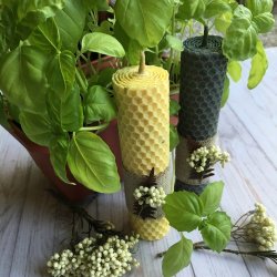 Стандартные свечи из вощины