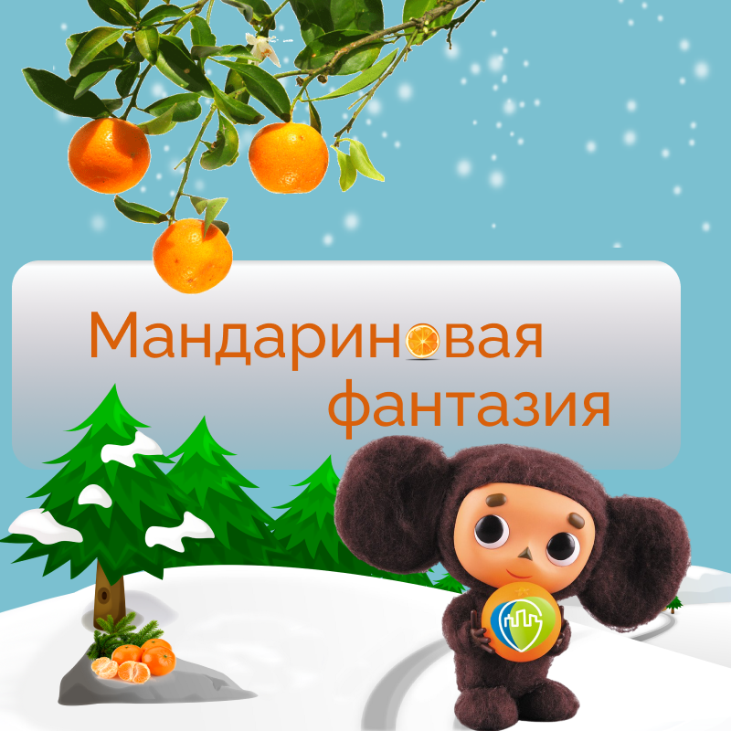 «Мандариновая фантазия»