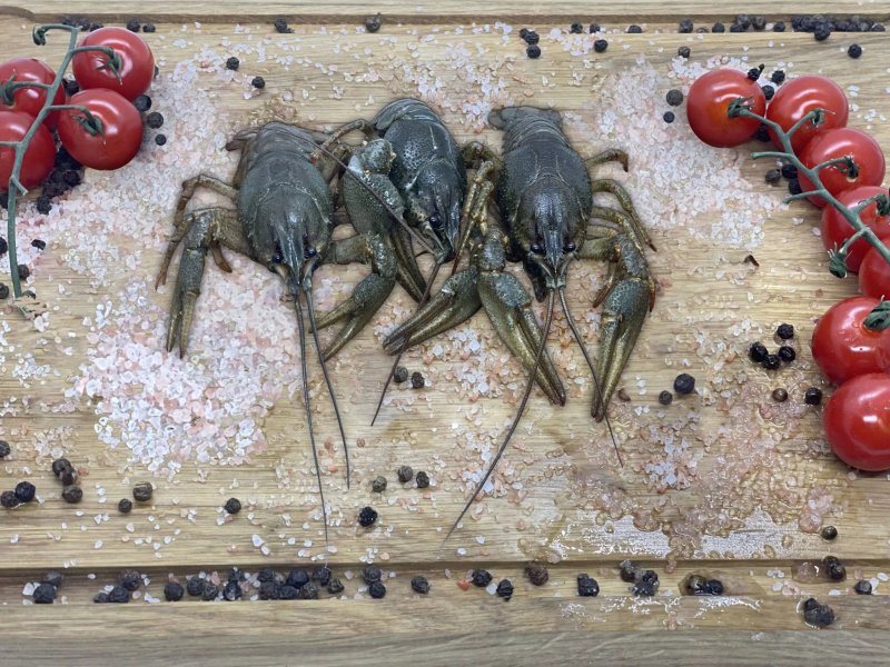 Рак живой (в 1кг 20шт)