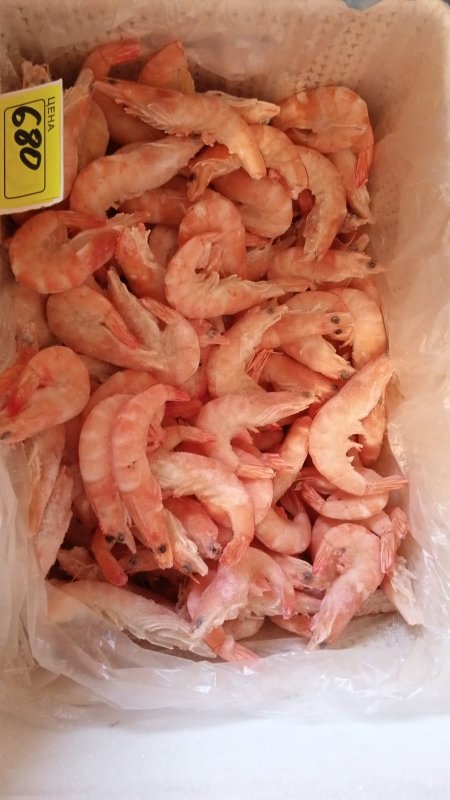 Креветка королевская Россия