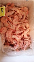 Креветка королевская Россия