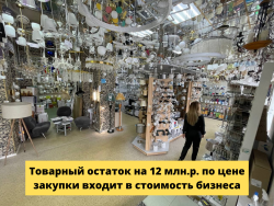 Продается готовый бизнес Магазин Электромир