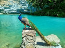 Джип-тур Гегский Водопад