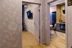 1-к. квартира, 48 м², 7/10 эт.