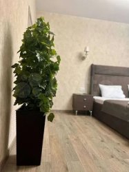 4-к. квартира, 150 м², 3/10 эт.