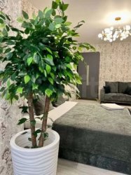 4-к. квартира, 150 м², 3/10 эт.