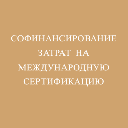 Софинансирование затрат на международную сертификацию