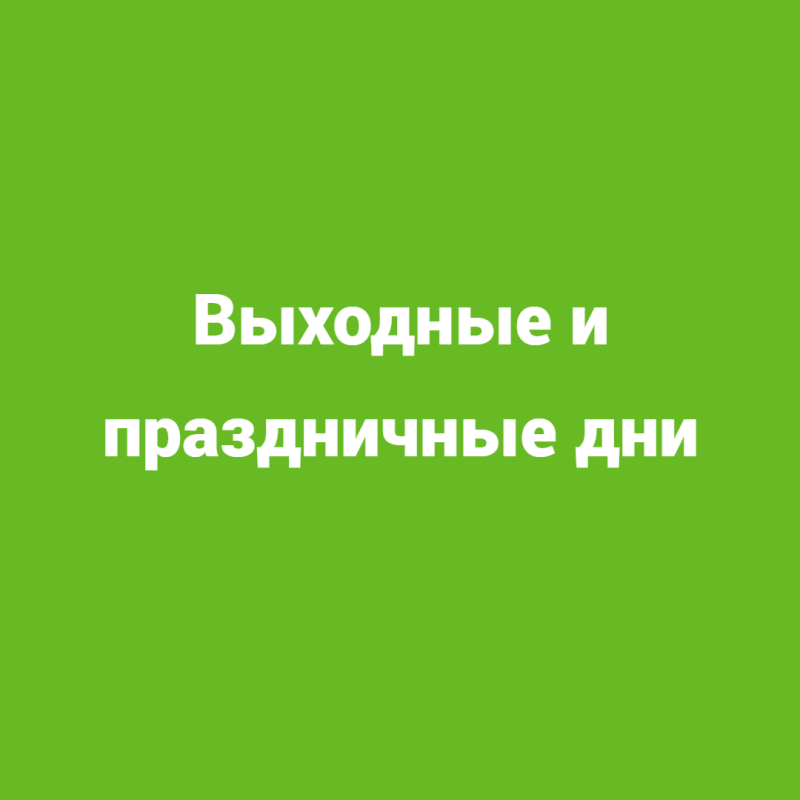 Стоимость посещения в выходные и праздничные дни