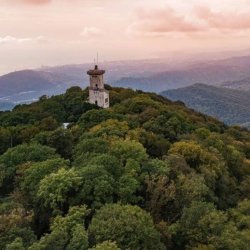 Экскурсия Обзорная экскурсия по Сочи