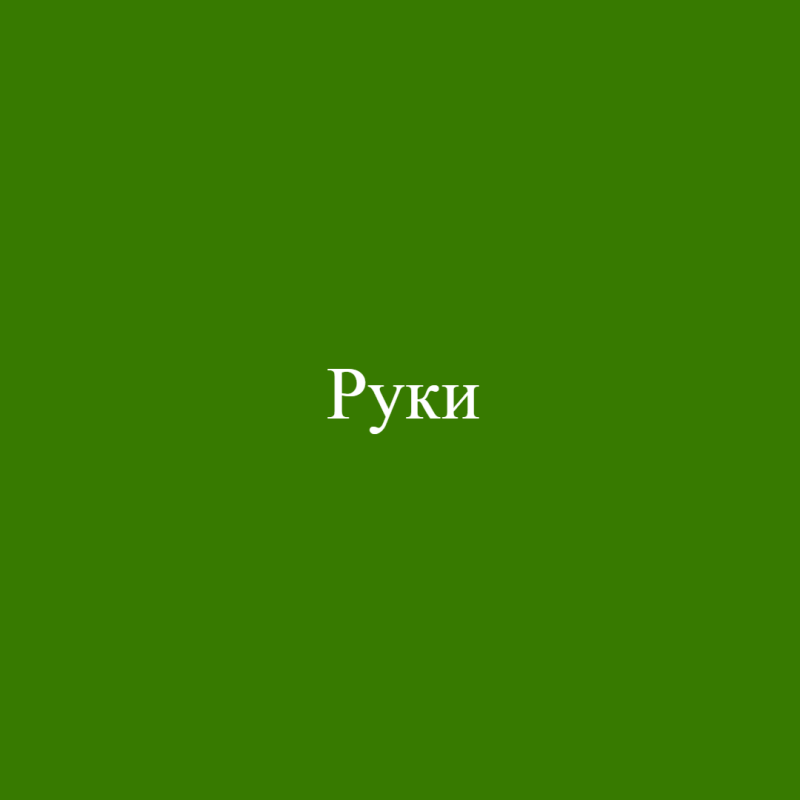 Руки