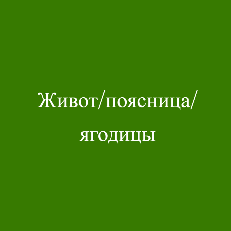 Живот/поясница/ягодицы