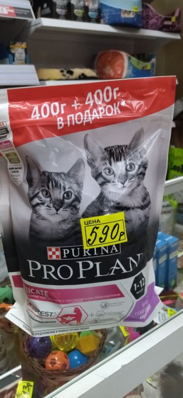 PRO PLAN для котят (индейка)