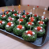 Печеночные гнёзда