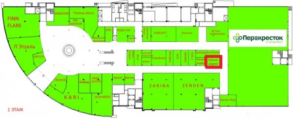 Чайное дерево