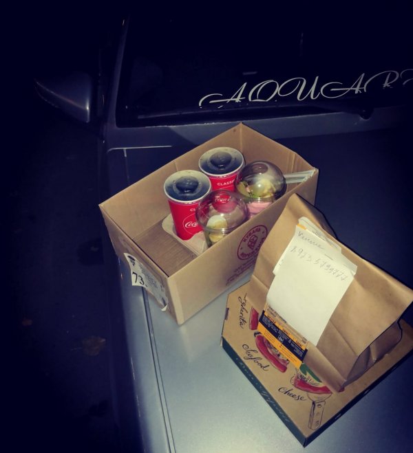 Перевозчик07