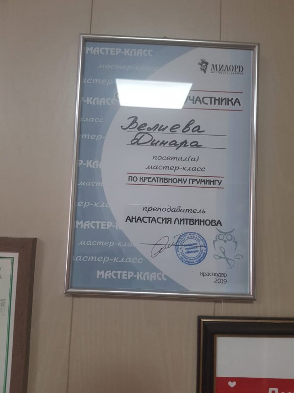 Студия Зверской Красоты