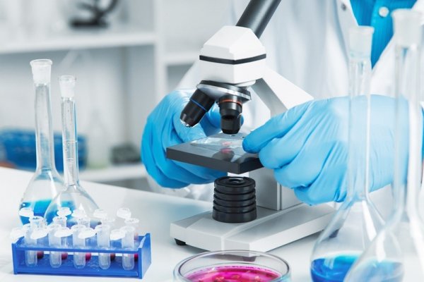 Центр "Vitrius"