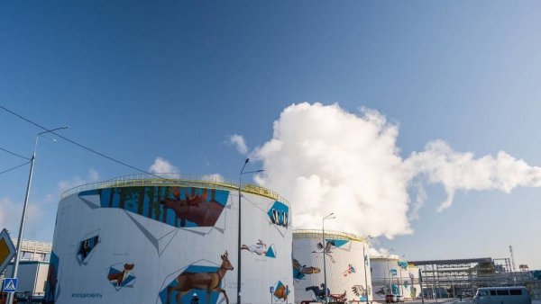 Соседи Сибура