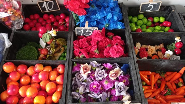 Жар-птица Мастерица